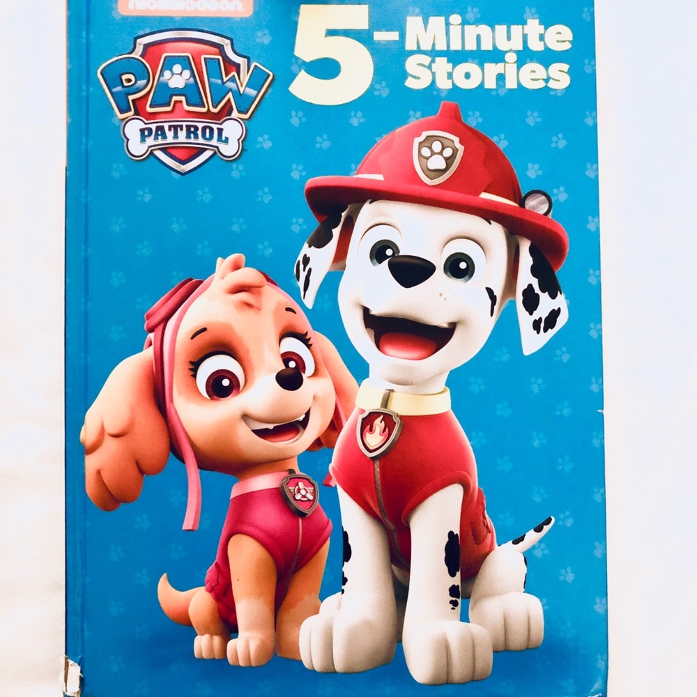 🐾 PAW PATROL READING BOOK 🐾